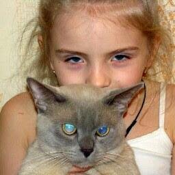 vpovol1's profile picture. 