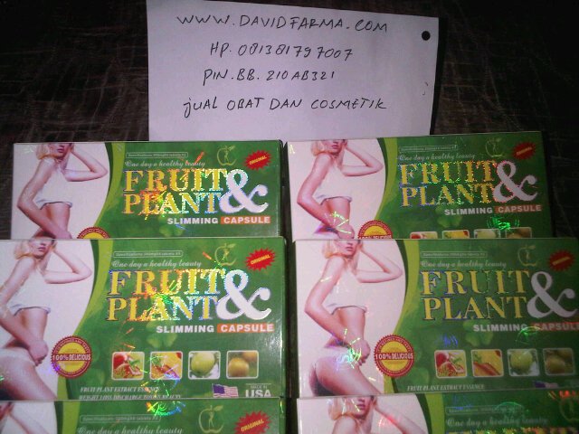 davidfarma383's profile picture. Pelangsing badan fruit plant asli,fruit plant original