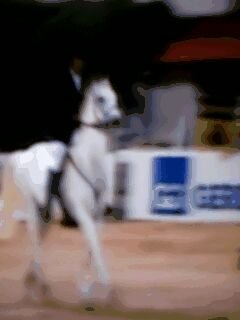 RCanabrava's profile picture. 