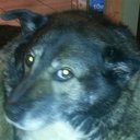 Dave Lorentz - @dave_lorentz - Twitter