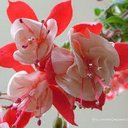 mita modi - @mitamodi69 - Twitter