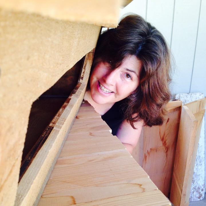 beezlady's profile picture. Beekeeper, Hive Builder. Small non profit building horizontal hives and sun hives for community members. We install Apiaries in community gardens and parks.