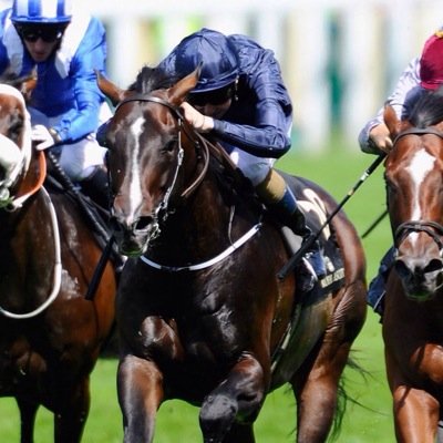 FOOTBALL AND RACING TIPPING SERVICE 30 years of contacts in the racing industry quality info sent everyday. join us today!!!! winning is a mentality