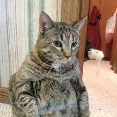 goldfishbarrels's profile picture. I mainly tweet about Pewdiepie/Dan and Phil and I don't live in the UK but i love doctor who which makes me cry.