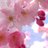 JaneR532's profile image