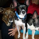 Deborah Gamache - @DeborahGamache - Twitter