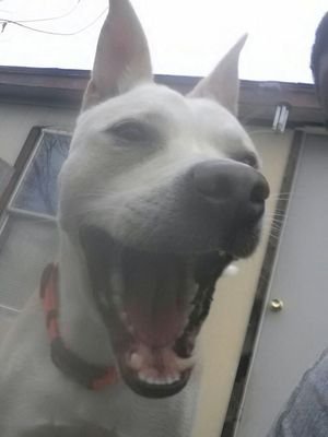 reesa878_7's profile picture. hehe