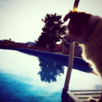 el_molinero's profile picture. Dando un paseo, hacia ningún lugar