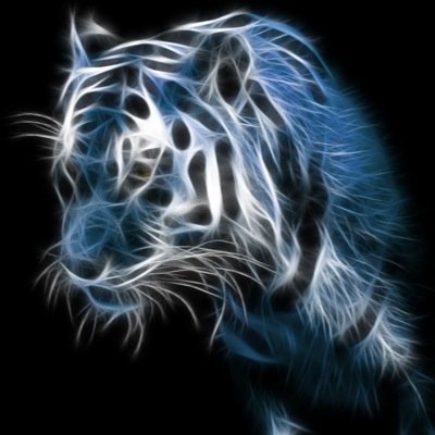 #Followback