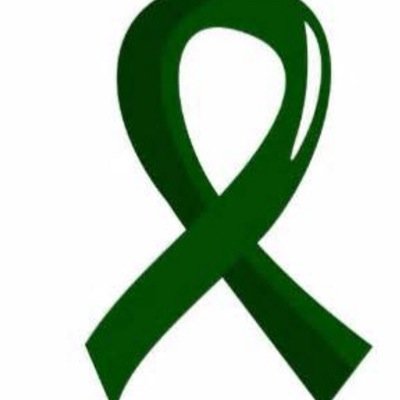 Green 4 Liver cancer! My son has been cancer free for 3 years.Purchase a bracelet and togther we can help fight childhoodcancer . Proceeds for reasearches
