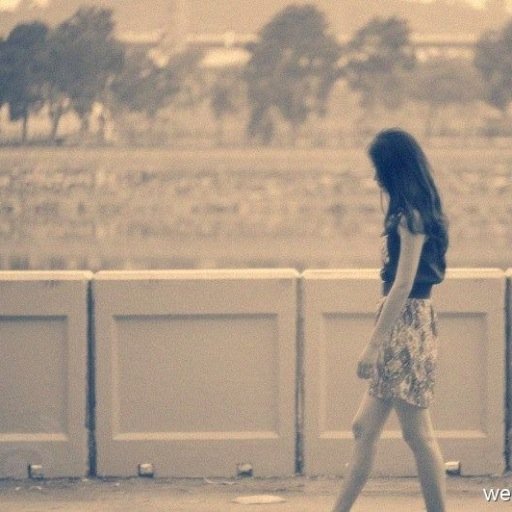 Fashion lover, photograph lover, travel lover.
