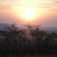 Allen (@allen1984b) 's Twitter Profile