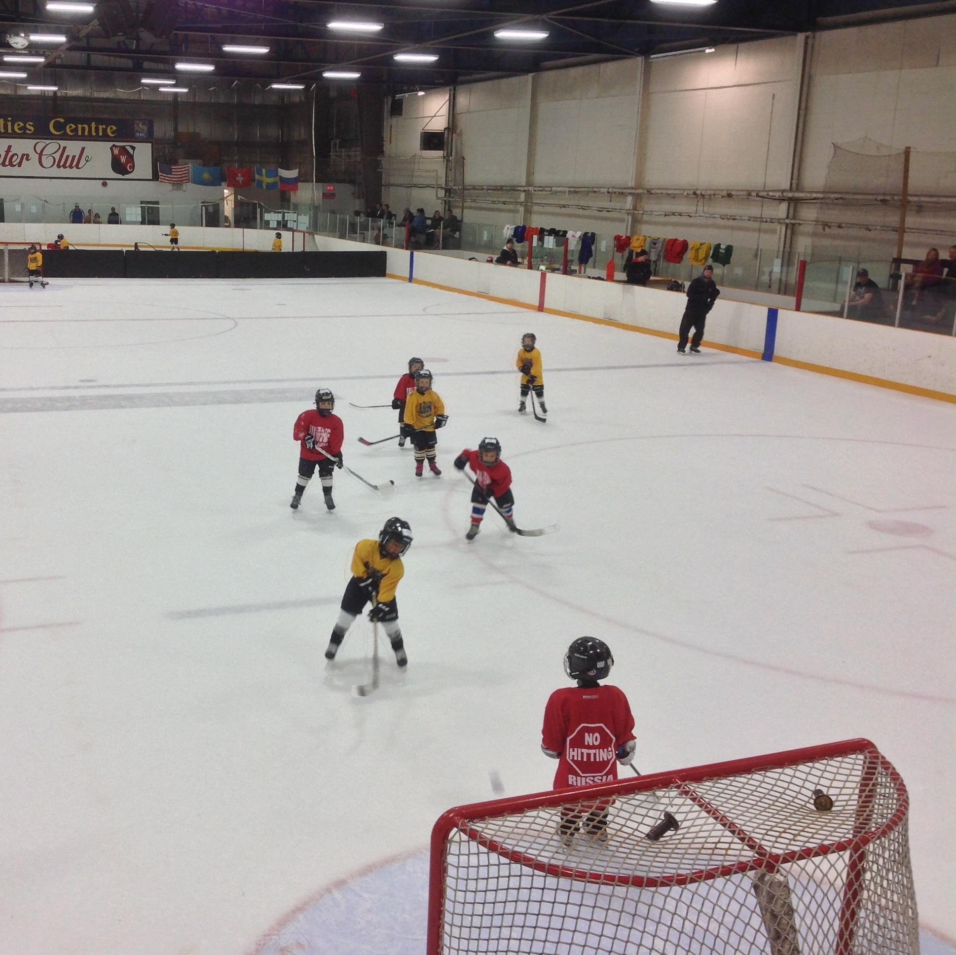 World 3 on 3 Hockey Federation is Winnipegs leader in youth hockey development for ages 4-14.  http://t.co/Nf5JcSOP2G
