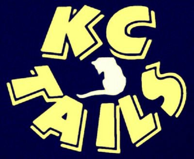Coming soon! Kansas City's FIRST Cat Cafe