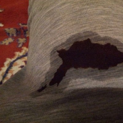 daraperen's profile picture. solak