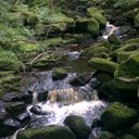 Paul cartledge - @CartledgePaul - Twitter