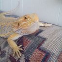 Emily Butts - @emilybutts6588 - Twitter