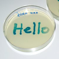 Language & Genetics (@genes_speak) 's Twitter Profile Photo Language & Genetics (@genes_speak) 's Twitter Profile Photo