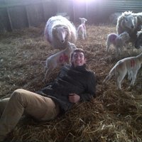 Jack Deal (@deal_jd) 's Twitter Profile