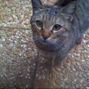 Brian Townson - @chests24 - Twitter