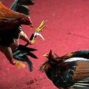 justin kinley - @justinkinley - Twitter