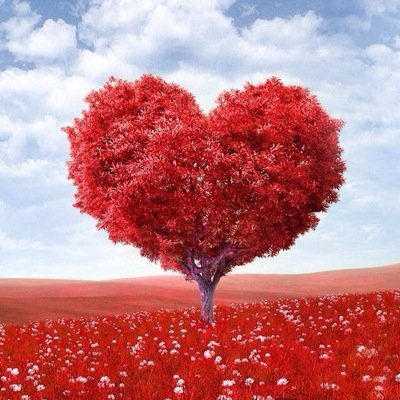 1983Amgad's profile picture. 