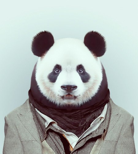 Animals Clothed - animals with human clothes on. It's funny, laugh. Submissions - dressedanimals@gmail.com.