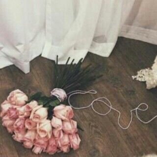 Hayam305Hayam's profile picture. عيش حياتگگ