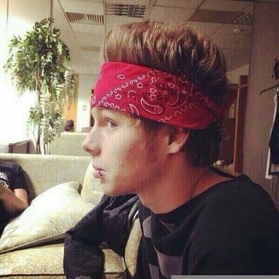 free follow from @cliffordinary1 please follow her because she loves you? ask for a fback! If you already do, tysm! Stay rad x