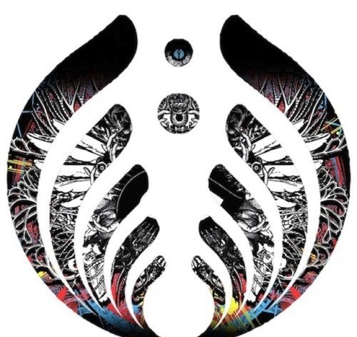 BassnectarVids Profile Picture