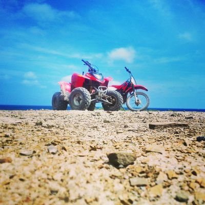 evanmac99's profile picture. 