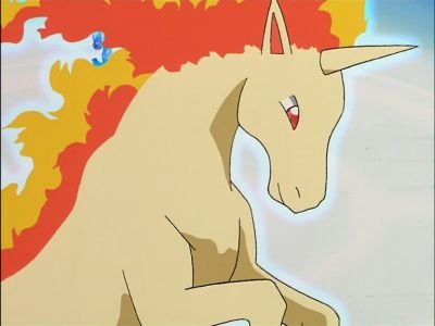 Just a Parade Rapidash,Trained for taking people places and pulling carts.
{Level 54, Female, Wild, Single, Quick Attack, FlameThrower, Fire spin,and Ember.}