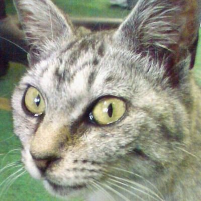 sekiken7529's profile picture. 