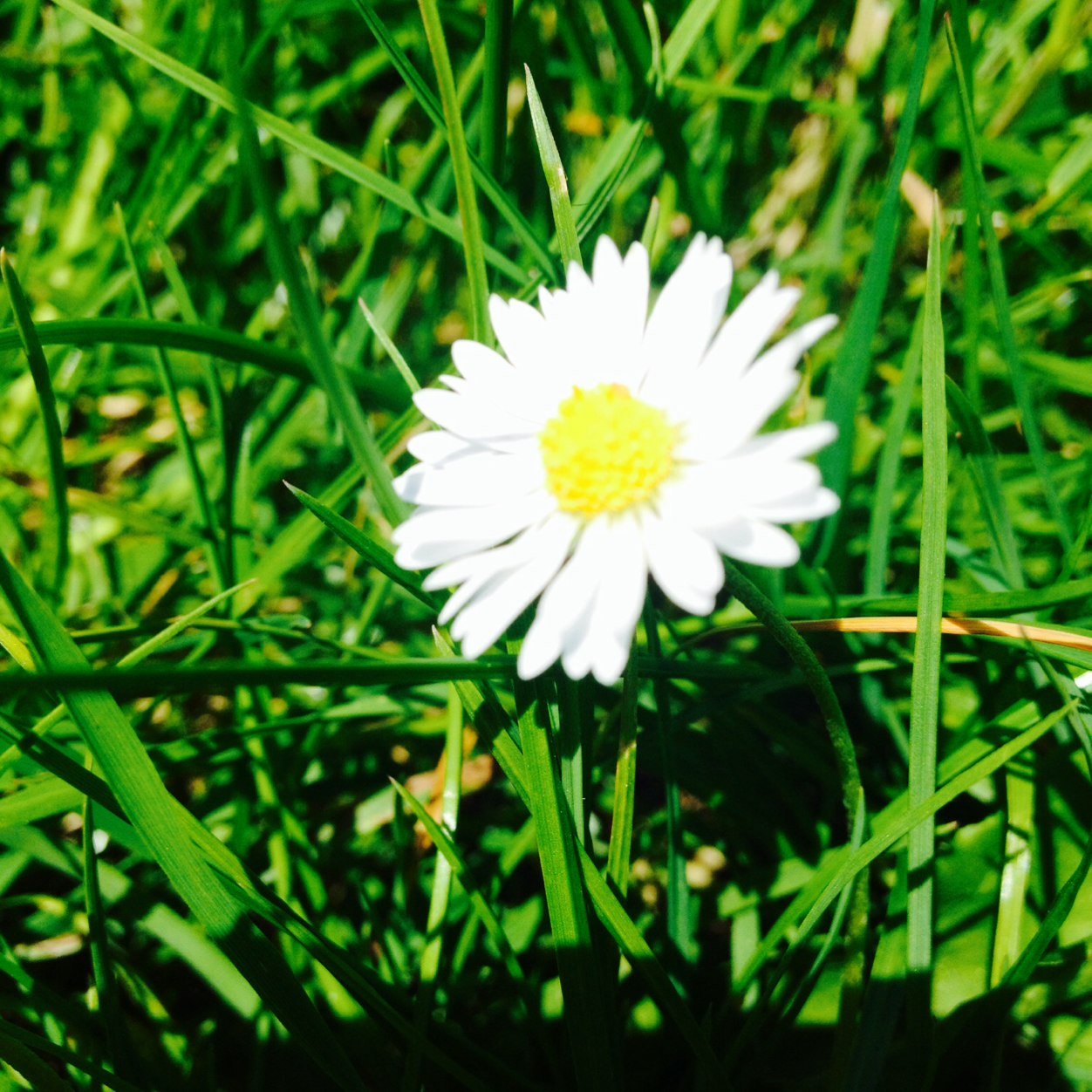 charbrady95's profile picture. 