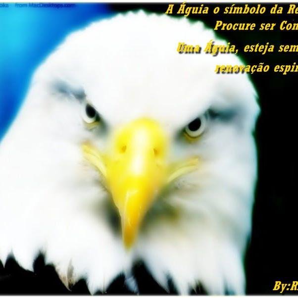 JOSEILTON