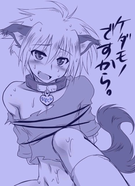 Hai! I'm Ako, half dog half human, an Inu! I has my own little Neko~!  Oh and Ako is 16! (YaoiRP/Taken)