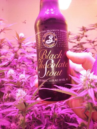Dreamy Treats LLC 
Edibles