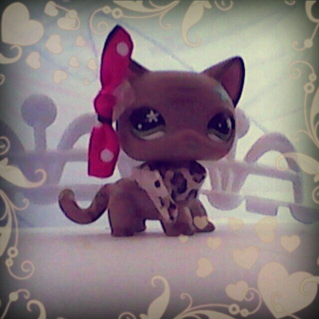 cloudcat957's profile picture. my name is Danielle Daggett  i make lps videos my youtube account is danielledtv and i hope you go check it out :)