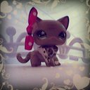 Danielle Daggett - @cloudcat957 - Twitter