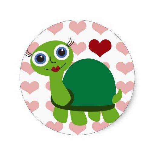 I love turtles