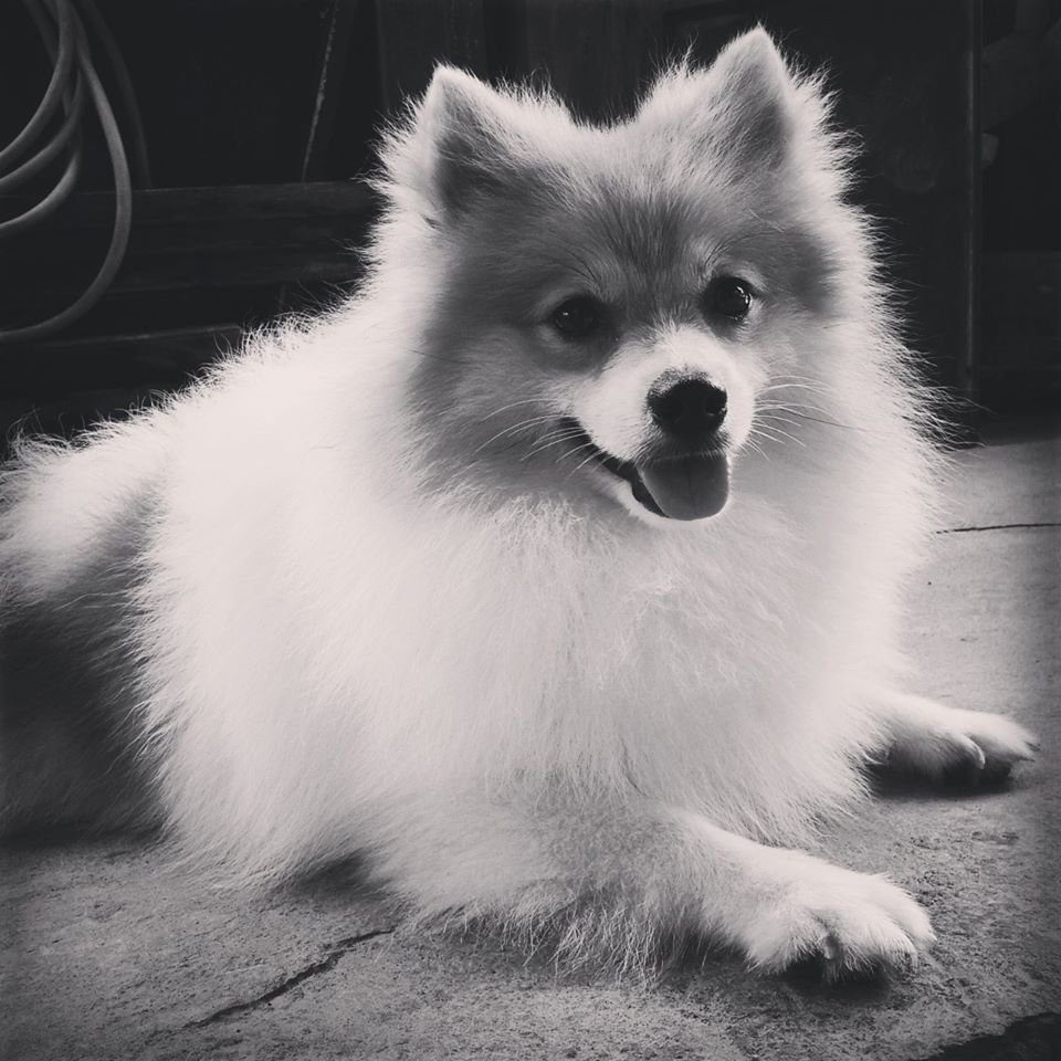 WidhiSasda's profile picture. 