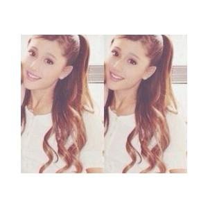 free follows/trades
