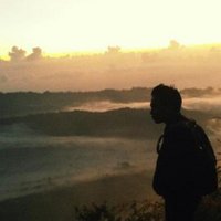 edi jungle (@edi_jungle) 's Twitter Profile