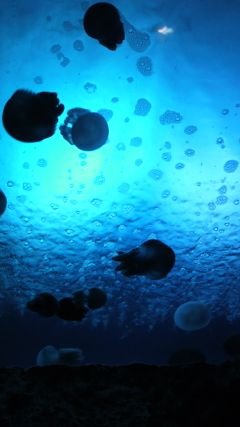 love2003lucky's profile picture. 