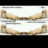 '''' (@oujda10) 's Twitter Profile