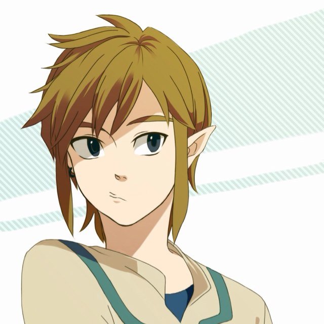 Hi i'm Link I hold the triforce of courage. I can be sweet and caring to others but dont push your luck |#Single|#RP|