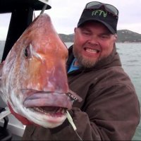 Winga Boys (@youfishtv) 's Twitter Profile