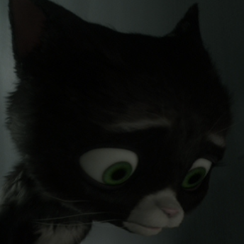 DestinyKitty12's profile picture. This account will not be used