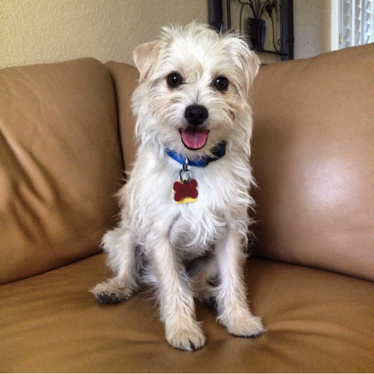 definitely22's profile picture. random shit here