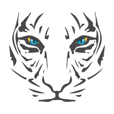 Digital Tiger can help you roar on the Internet. Do you want people to hear your message on Facebook, You Tube, Google +, Linked In, Twitter and more?